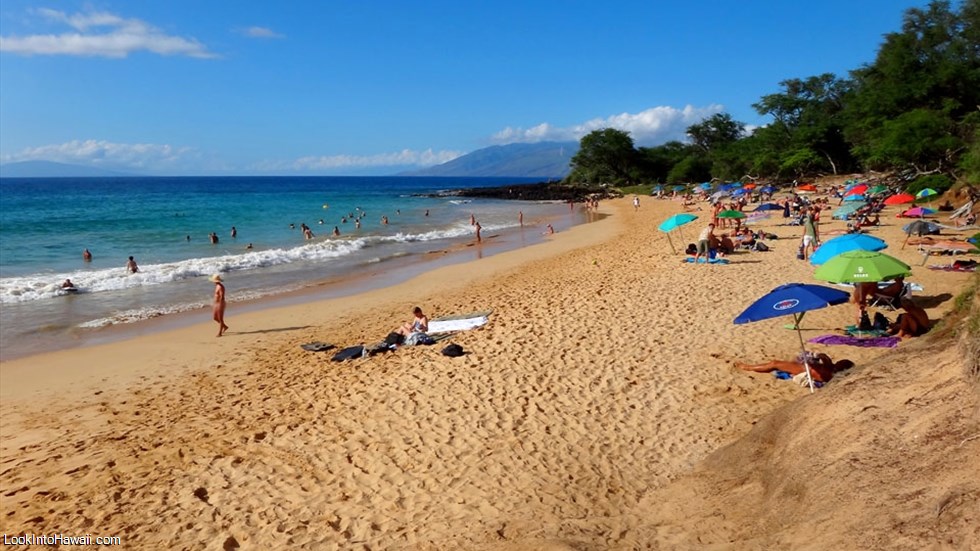 Hawaii Nude Beaches And Hawaiian Nude Beach Women Photos
